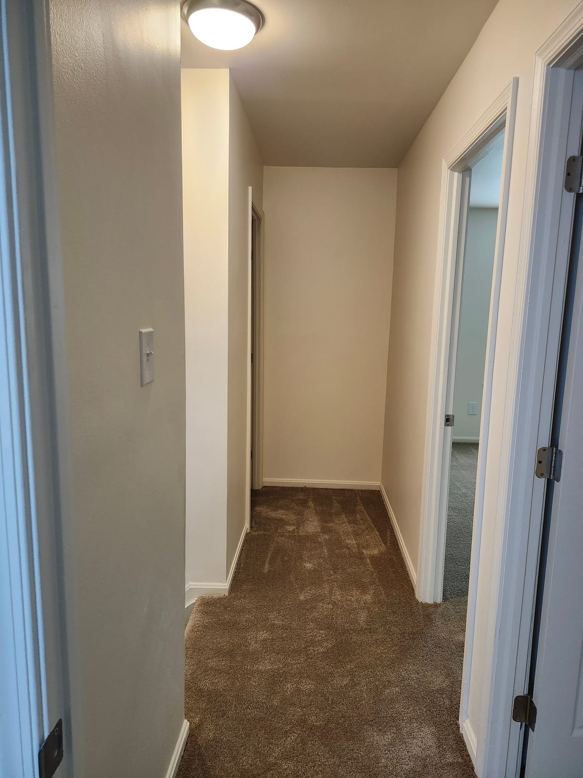 A carpeted hallway at Calvertowne with white doors, a ceiling light, and a bedroom doorway open at the side